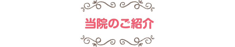 紹介